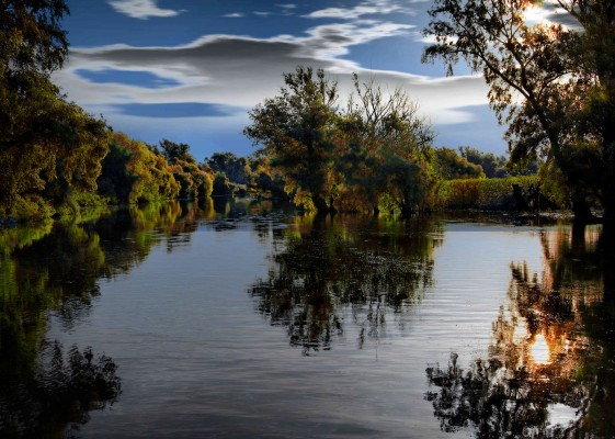 Donaudelta Landschaft